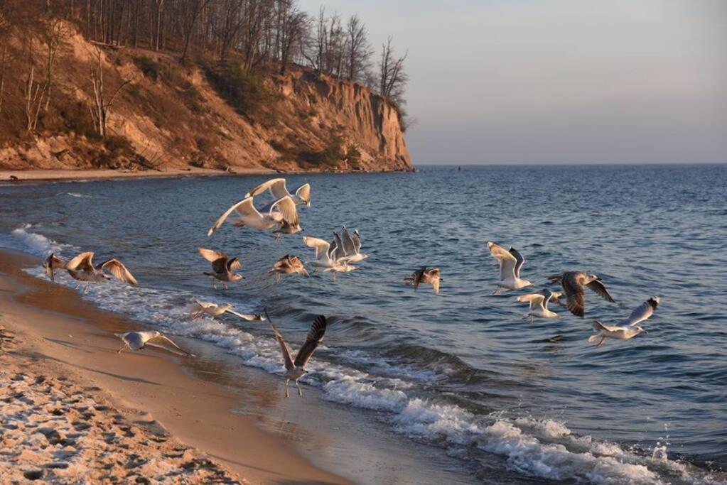 Chata Rybacka W Orlowie / Apartament Gdynia Buitenkant foto